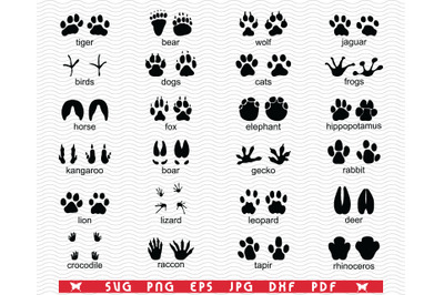 SVG Traces Wild Animals, Black silhouette, Digital clipart