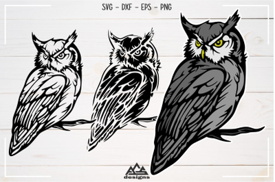 Cute OWL Tshirt Sticker Sublimation Svg Design