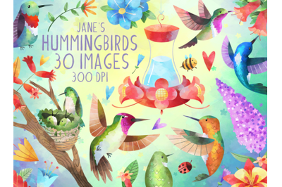 Watercolor Hummingbirds Clipart