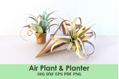 Air Plant and Planter Papercraft Template