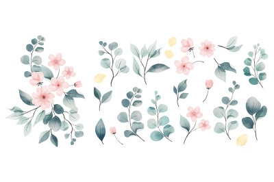 Watercolor leaves and flowers collection Vector