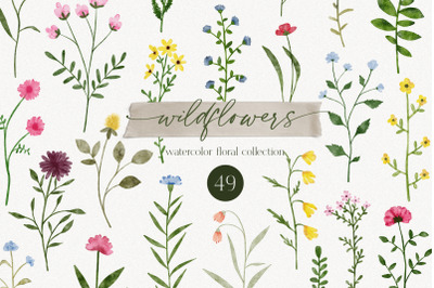 Wildflowers - watercolor collection