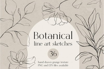 Botanical line art sketches