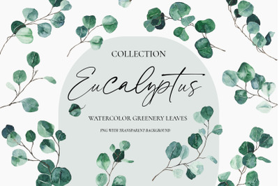 Watercolor eucalyptus greenery set