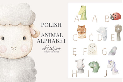 Polish animal alphabet watercolor set