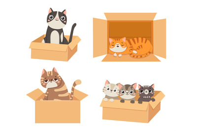 Cats in boxes. Animals sitting and sleeping in cardboard boxes. Little