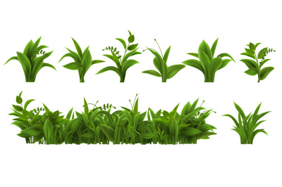 Realistic fresh green grass, weed and herb leaves. Spring plant tufts