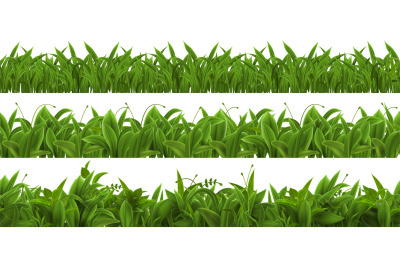 Realistic grass lawn, meadow herbs or field seamless border. 3d spring