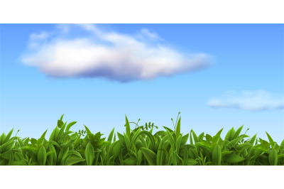 Realistic nature landscape with fresh grass and blue sky with clouds.