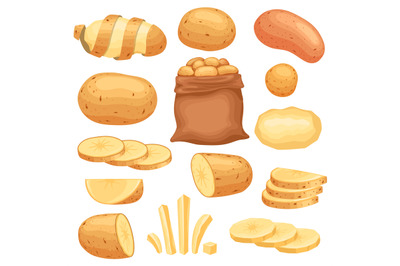 Cartoon peeled raw potato, sliced and french fries. Potatoes in bag, c