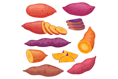 Cartoon sweet potato types, sliced yam or batat. Baked sweet red potat