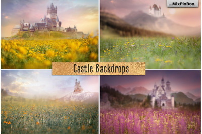Castle backdrops