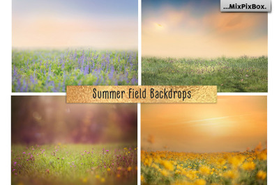 Summer Field Backdrops