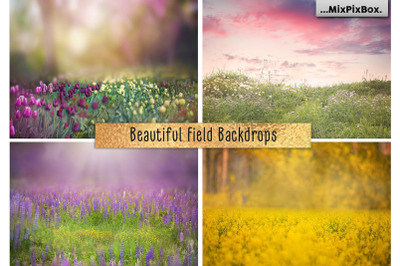 Beautiful Field Backdrops