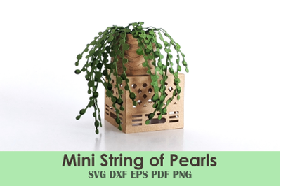Mini String of Pearls | 3D Papercraft Template