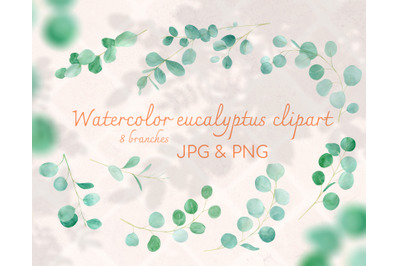 Watercolor Eucalyptus Branches Clipart