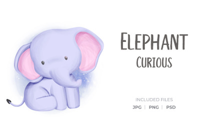 Elephant Curious