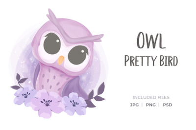 Owl Pretty Bird