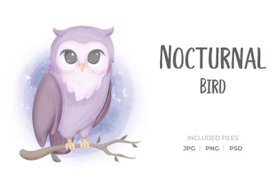 Nocturnal Bird
