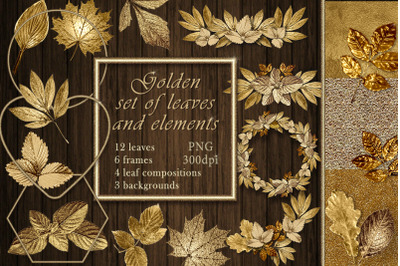 Golden set of leaves and elements. PNG