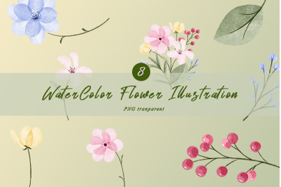 8 Watercolor Flower (PNG transparent)