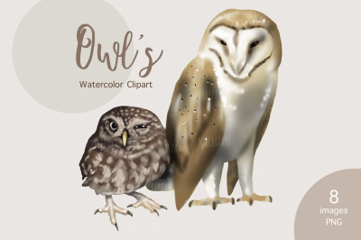 Watercolor Barn Owl Clipart, Owls woodland, Forest Animals