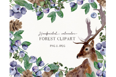 Woodland watercolor clipart PNG #c1
