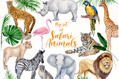 Safari Animals Clipart Bundle | Watercolor jungle animal.