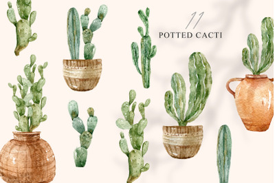 Watercolor potted succulents clipart- 11 png files