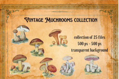 Vintage Mushrooms, Junk Journal Mushroom