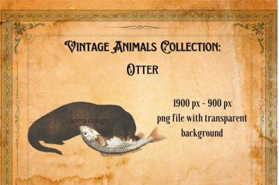 Vintage Otter Illustration