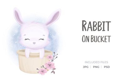 Rabbit On Bucket