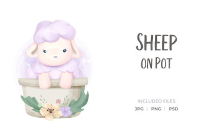 Sheep On Pot