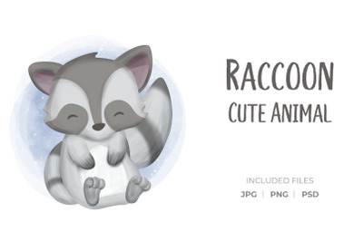 Raccoon Animal