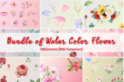 99 Bundle of Water Color Flower