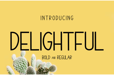 DELIGHTFUL - MODERN FONT