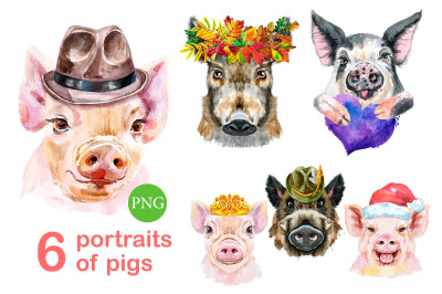Cute watercolor pigs. Part 10