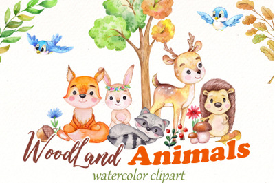 Watercolor woodland clipart Bundle | Forest animals png clip art.