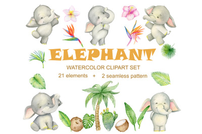 Watercolor. Elephant clipart, cute tropical elephant, For instant down