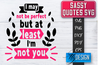 Sassy SVG | Sassy Quotes SVG | Sarcastic Sayings SVG