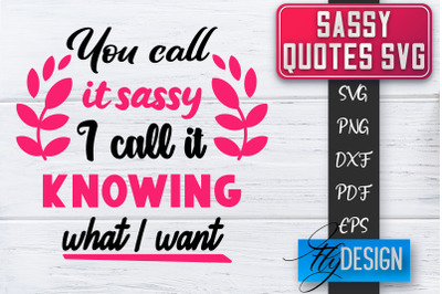 Sassy SVG | Sassy Quotes SVG | Sarcastic Sayings SVG