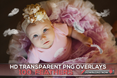 100 TRANSPARENT PNG Feathers Overlays