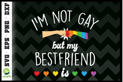 I&#039;m Not Gay But My Best Friend Is