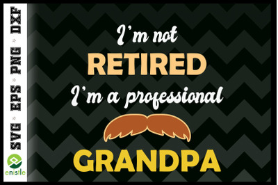 Retirement I&#039;m A Professional Grandpa