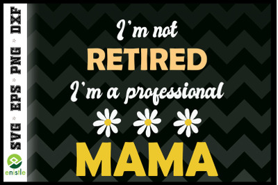 Retirement I&#039;m A Professional Mama