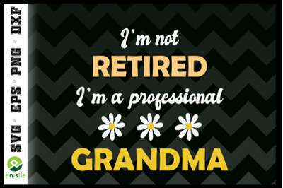 Retirement I&#039;m A Professional Grandma