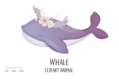 Whale Clipart Animal