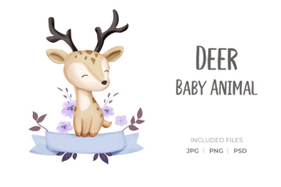Deer Baby Animal