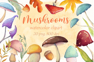 Mushroom Clipart, Watercolor Fall png Clipart, Autumn design.