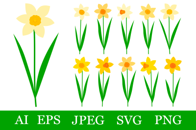 Daffodils bundle SVG. Daffodils sublimation. Spring Flowers